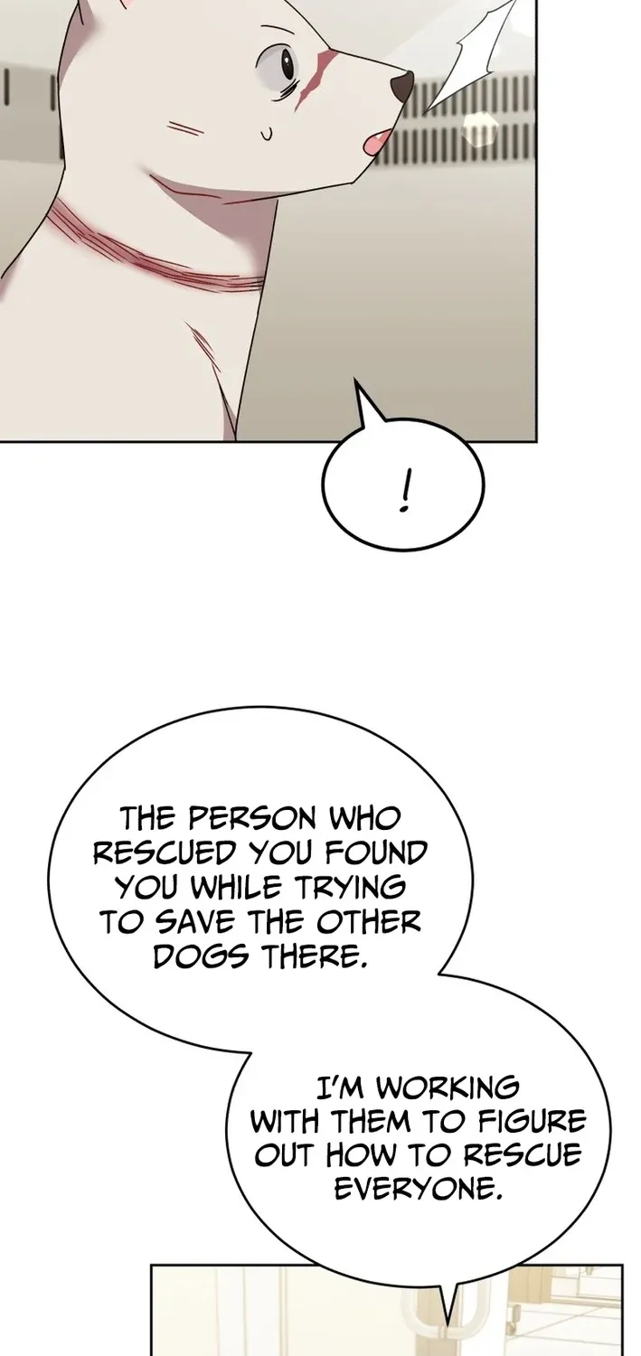 Read Hello, Mr. Veterinarian! chapter 116 image 60 on Lezhin