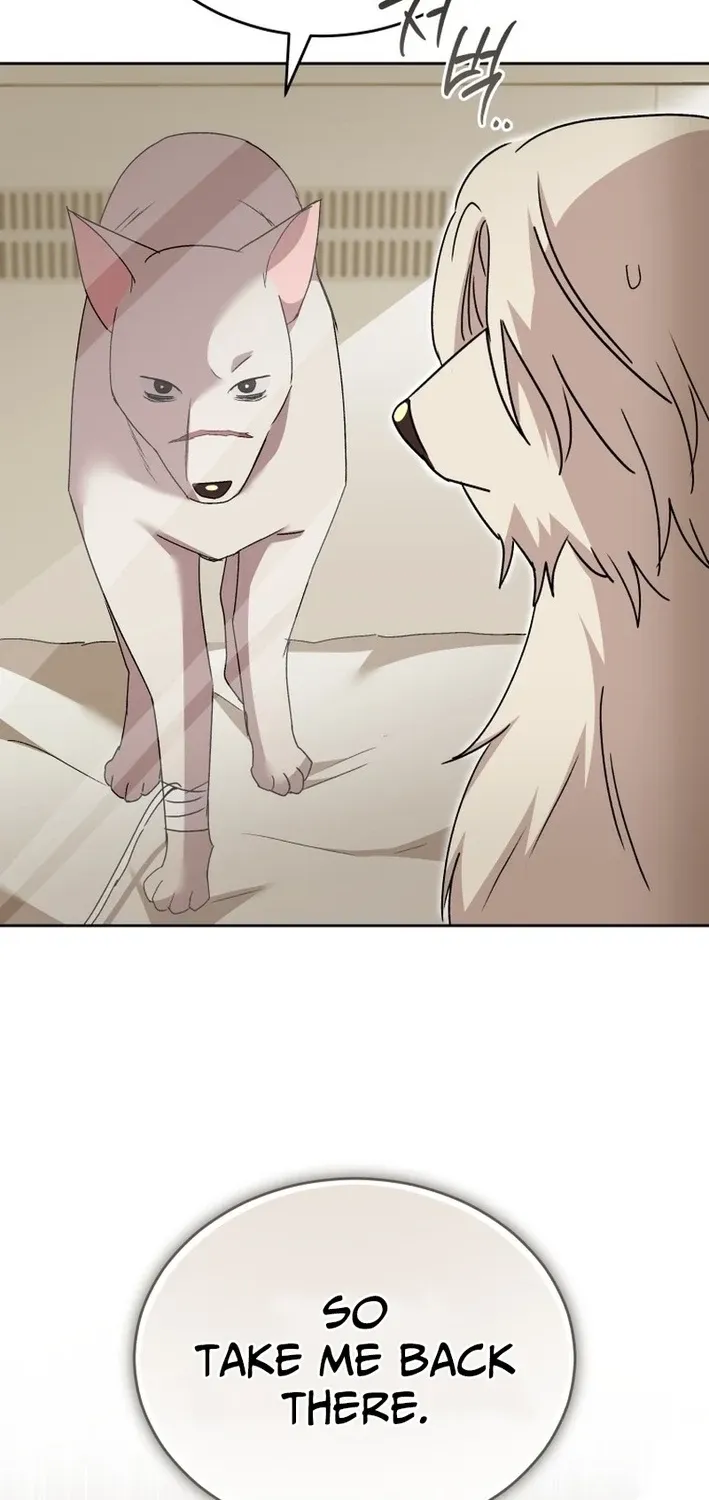 Read Hello, Mr. Veterinarian! chapter 116 image 69 on Lezhin