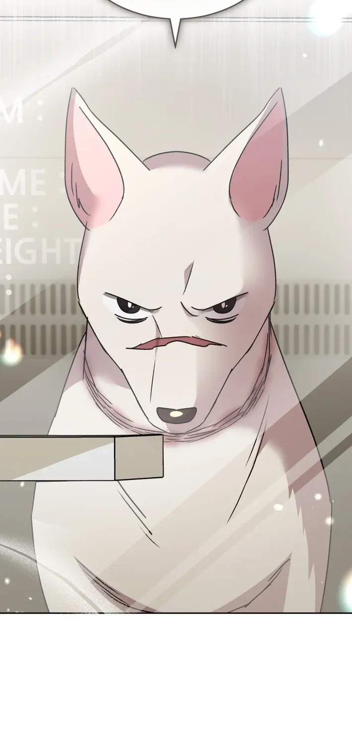 Read Hello, Mr. Veterinarian! chapter 116 image 70 on Lezhin
