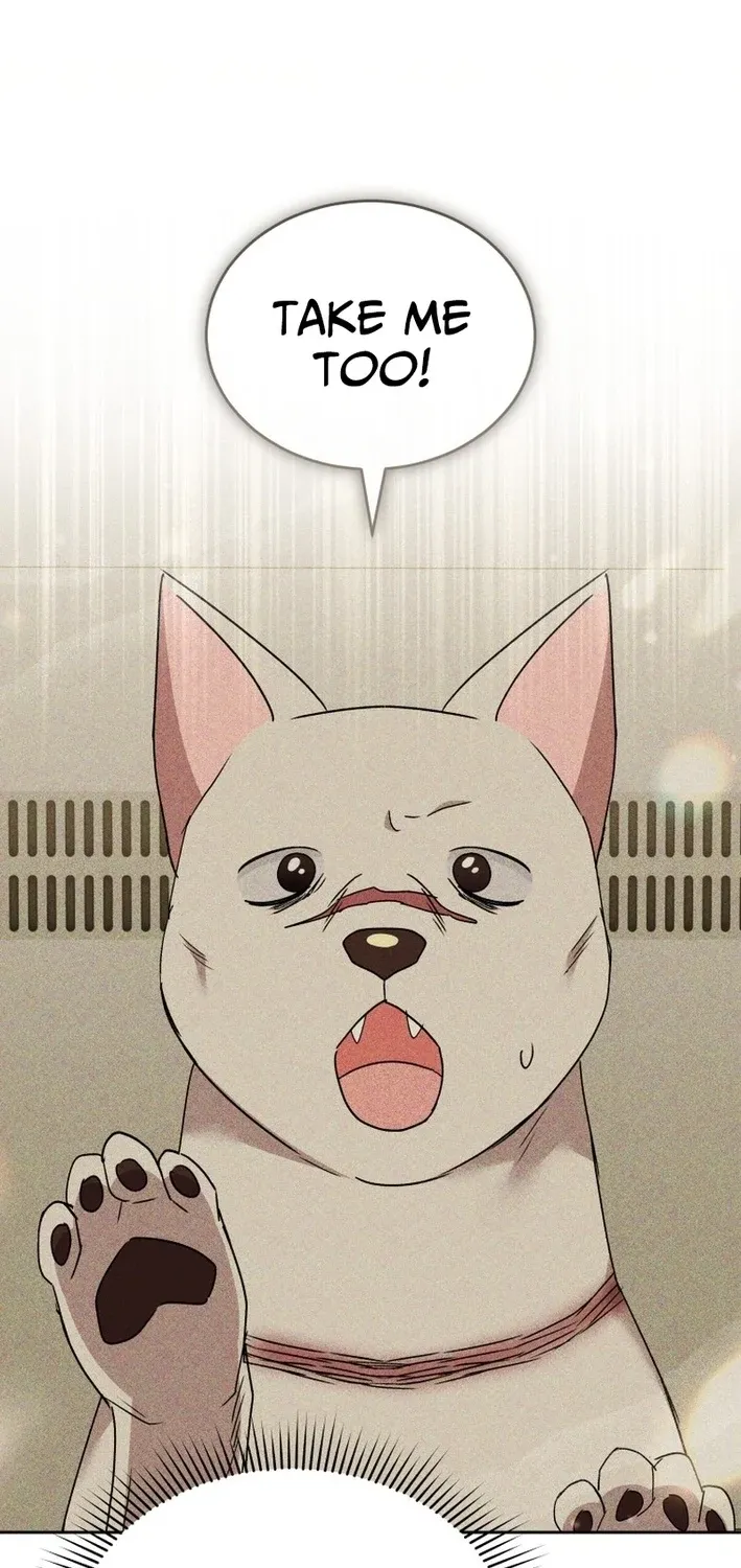 Read Hello, Mr. Veterinarian! chapter 116 image 76 on Lezhin