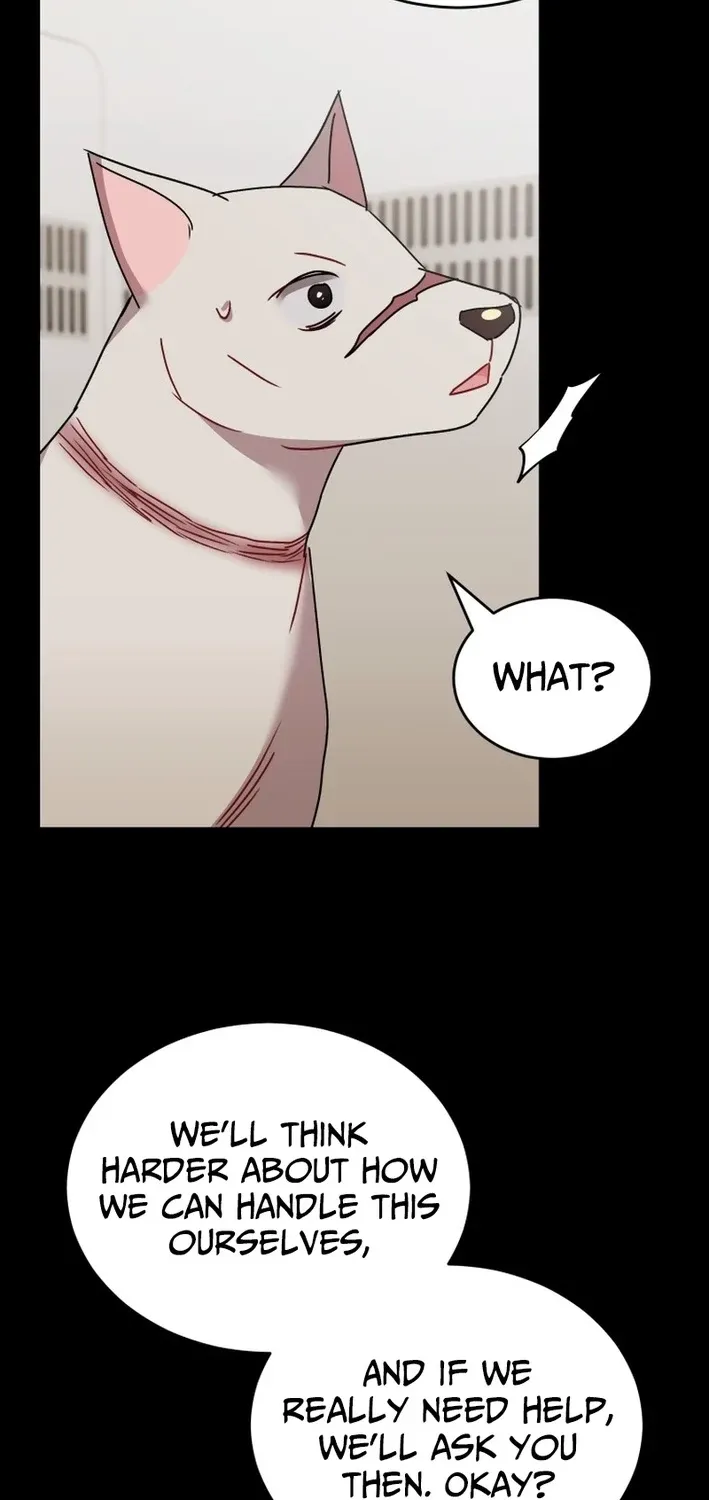 Read Hello, Mr. Veterinarian! chapter 117 image 13 on Lezhin