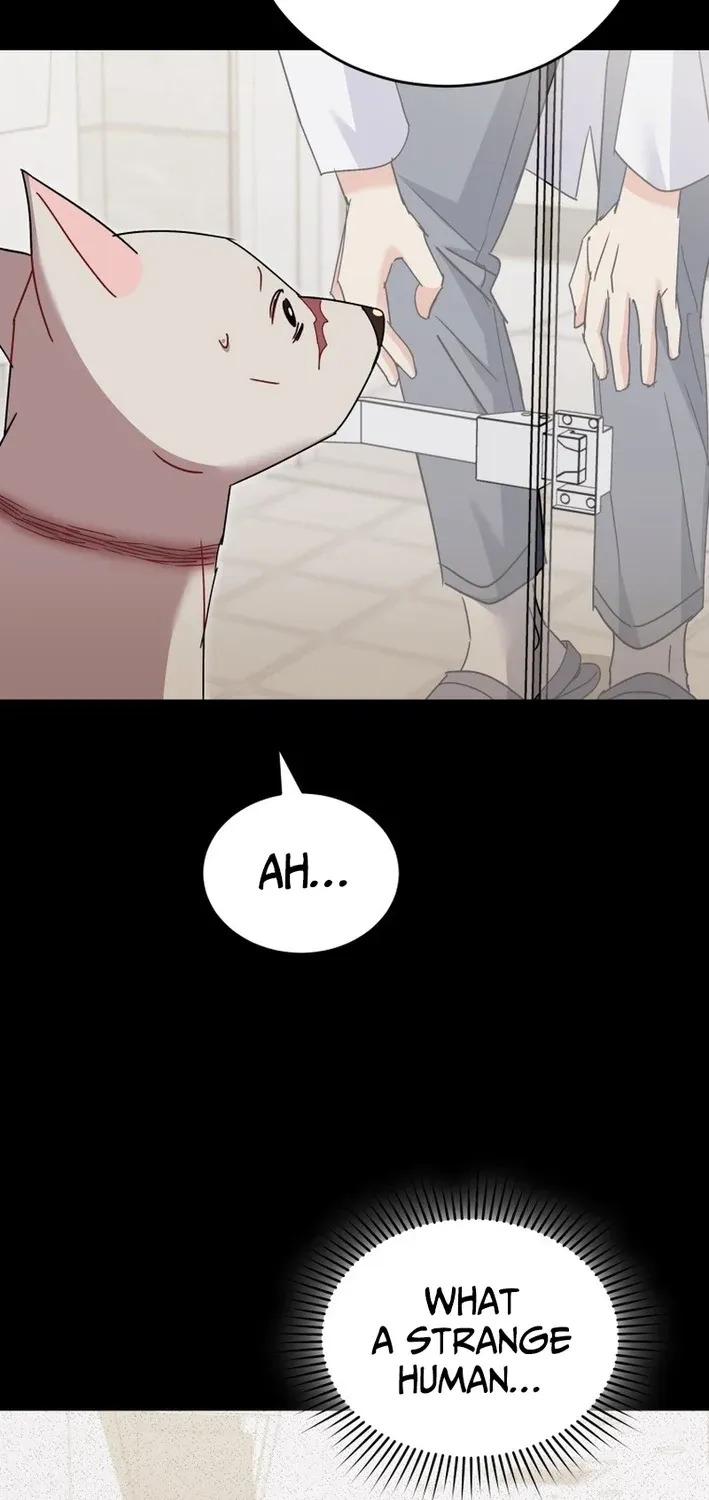 Read Hello, Mr. Veterinarian! chapter 117 image 14 on Lezhin