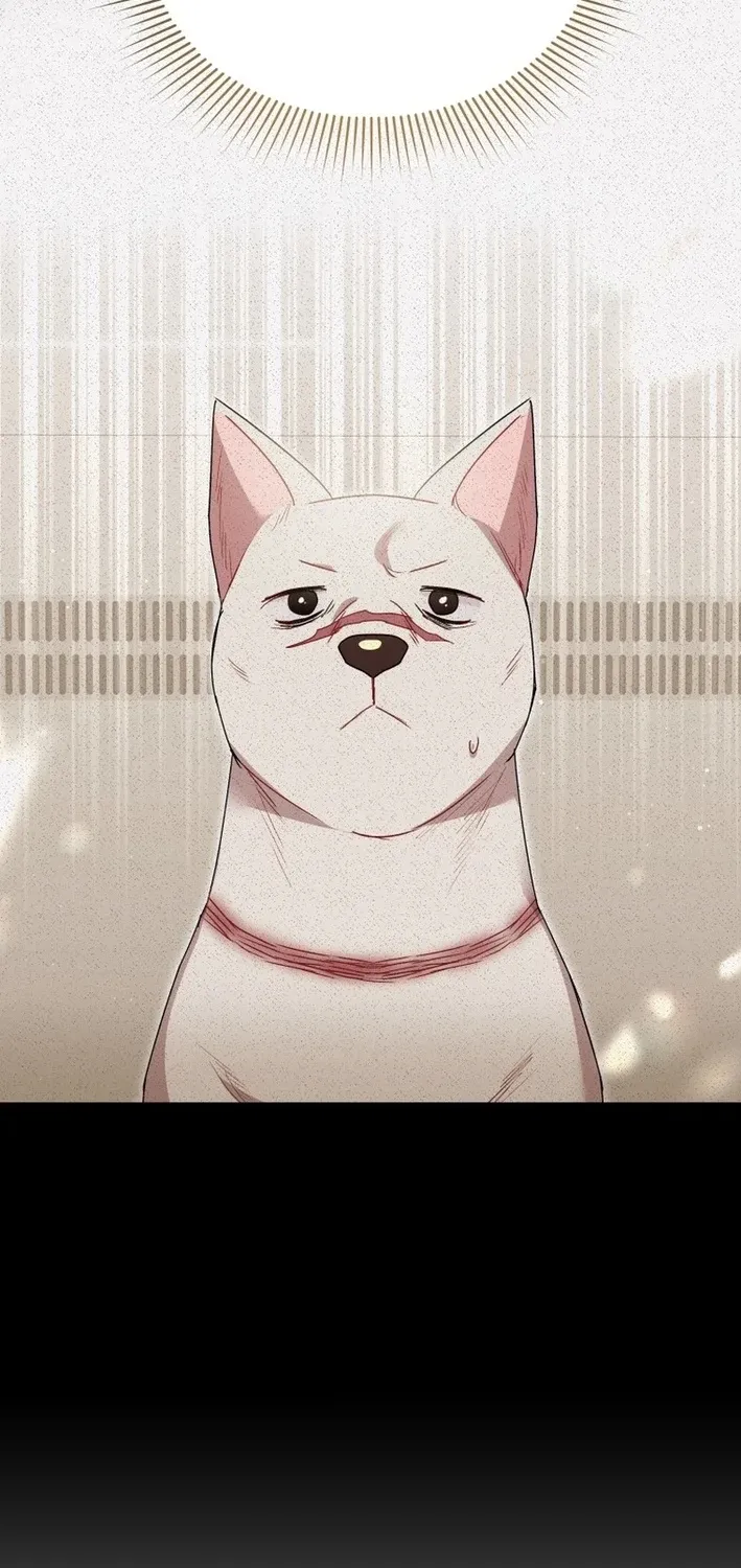 Read Hello, Mr. Veterinarian! chapter 117 image 17 on Lezhin