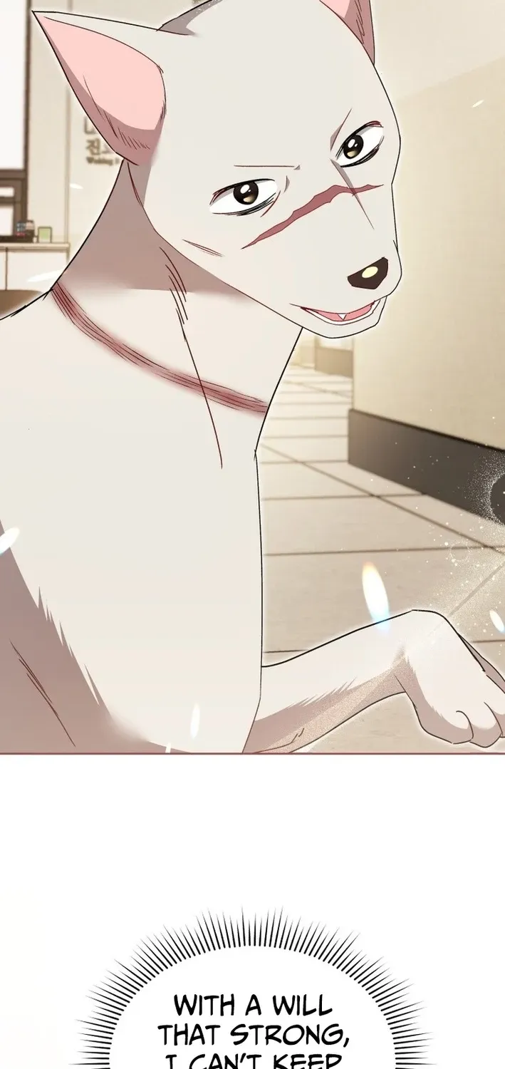 Read Hello, Mr. Veterinarian! chapter 117 image 41 on Lezhin