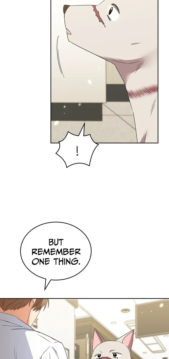 Read Hello, Mr. Veterinarian! chapter 117 image 44 on Lezhin