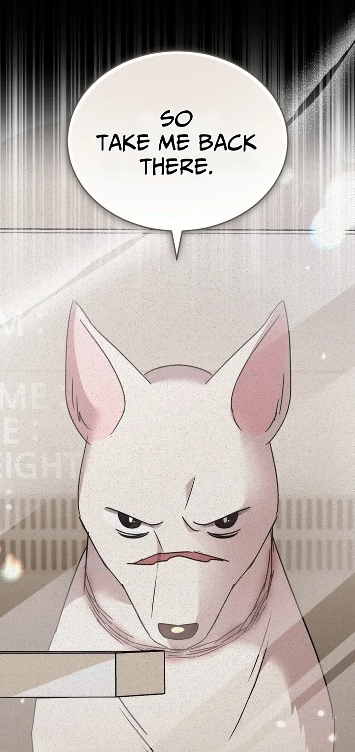 Read Hello, Mr. Veterinarian! chapter 117 image 8 on Lezhin