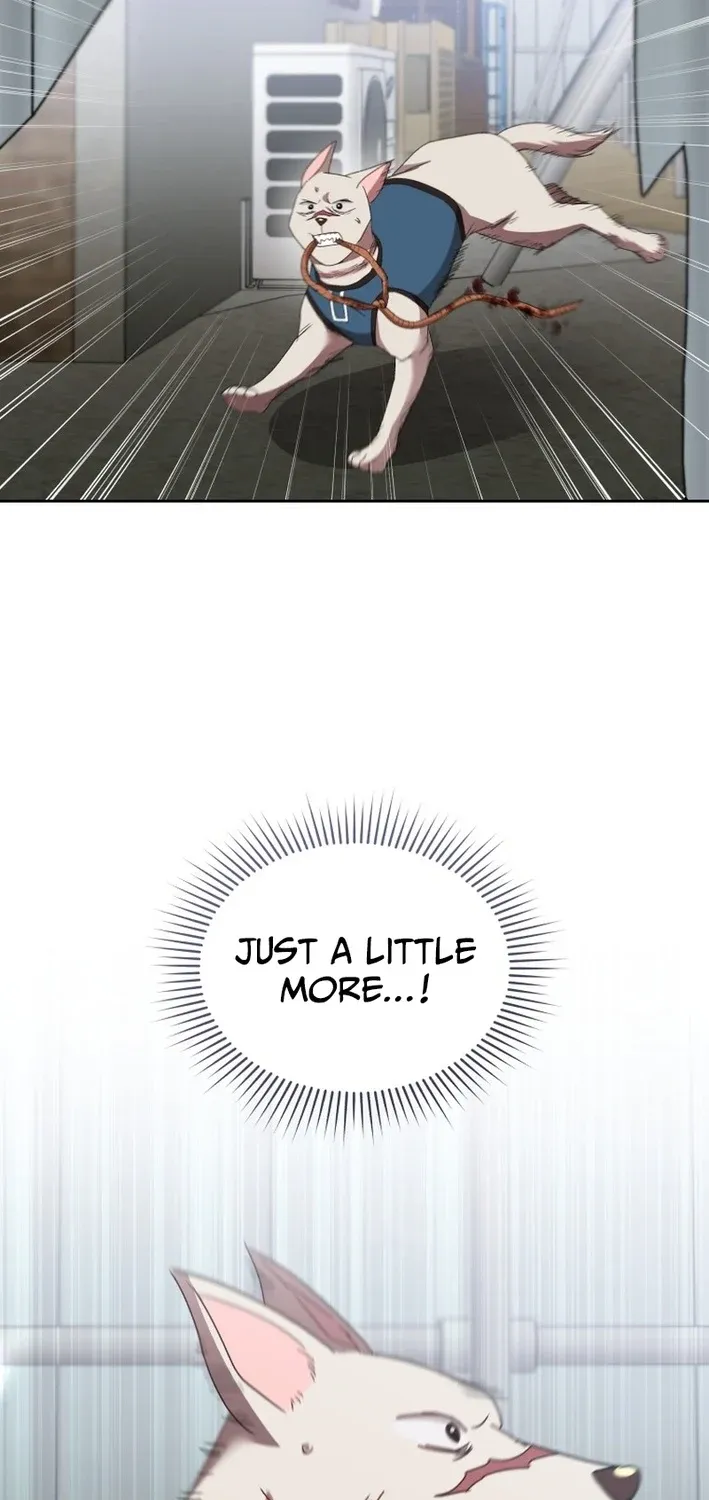 Read Hello, Mr. Veterinarian! chapter 118 image 14 on Lezhin