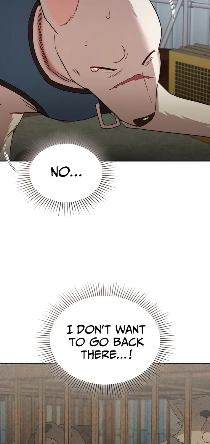 Read Hello, Mr. Veterinarian! chapter 118 image 24 on Lezhin