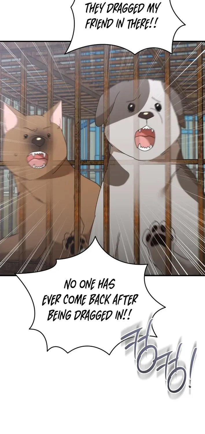 Read Hello, Mr. Veterinarian! chapter 118 image 57 on Lezhin