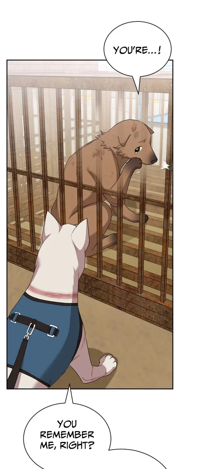 Read Hello, Mr. Veterinarian! chapter 119 image 57 on Lezhin