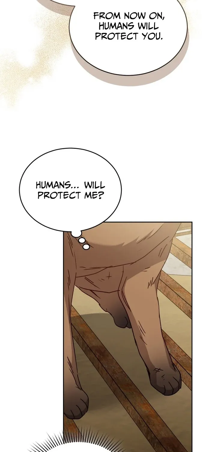 Read Hello, Mr. Veterinarian! chapter 119 image 62 on Lezhin