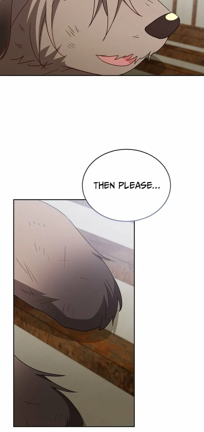 Read Hello, Mr. Veterinarian! chapter 120 image 13 on Lezhin