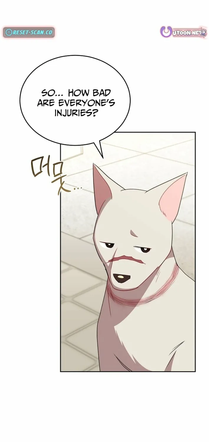 Read Hello, Mr. Veterinarian! chapter 120 image 20 on Lezhin