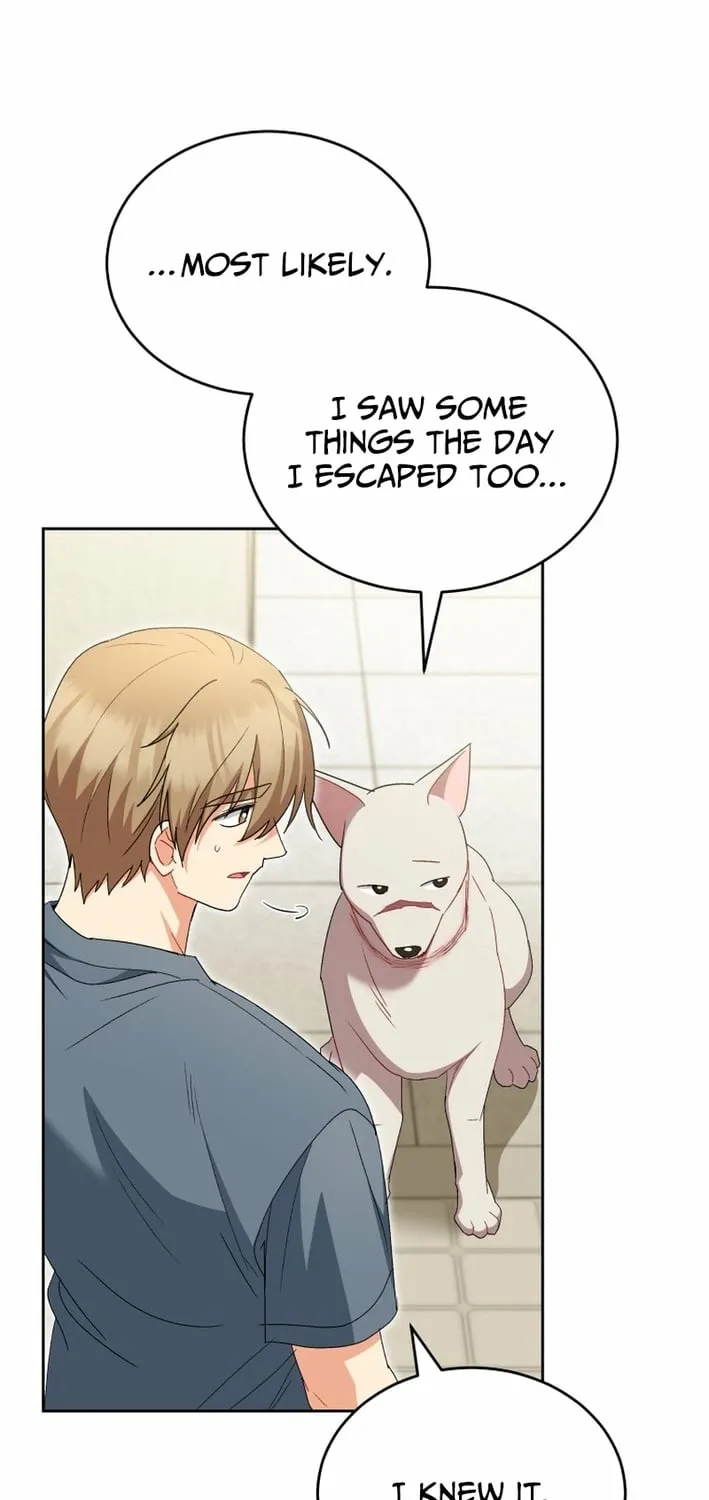Read Hello, Mr. Veterinarian! chapter 120 image 22 on Lezhin