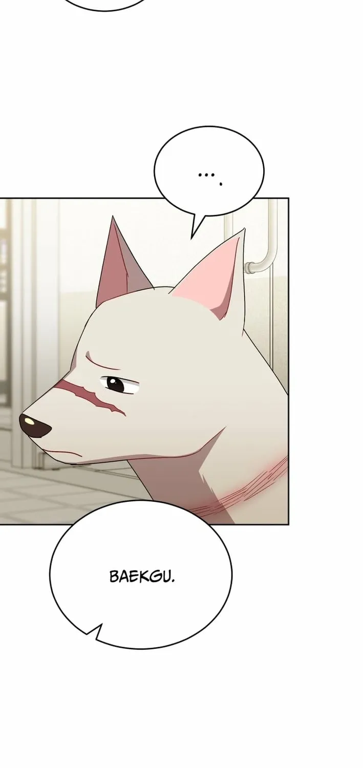 Read Hello, Mr. Veterinarian! chapter 120 image 25 on Lezhin