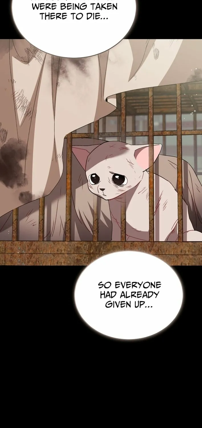 Read Hello, Mr. Veterinarian! chapter 120 image 31 on Lezhin