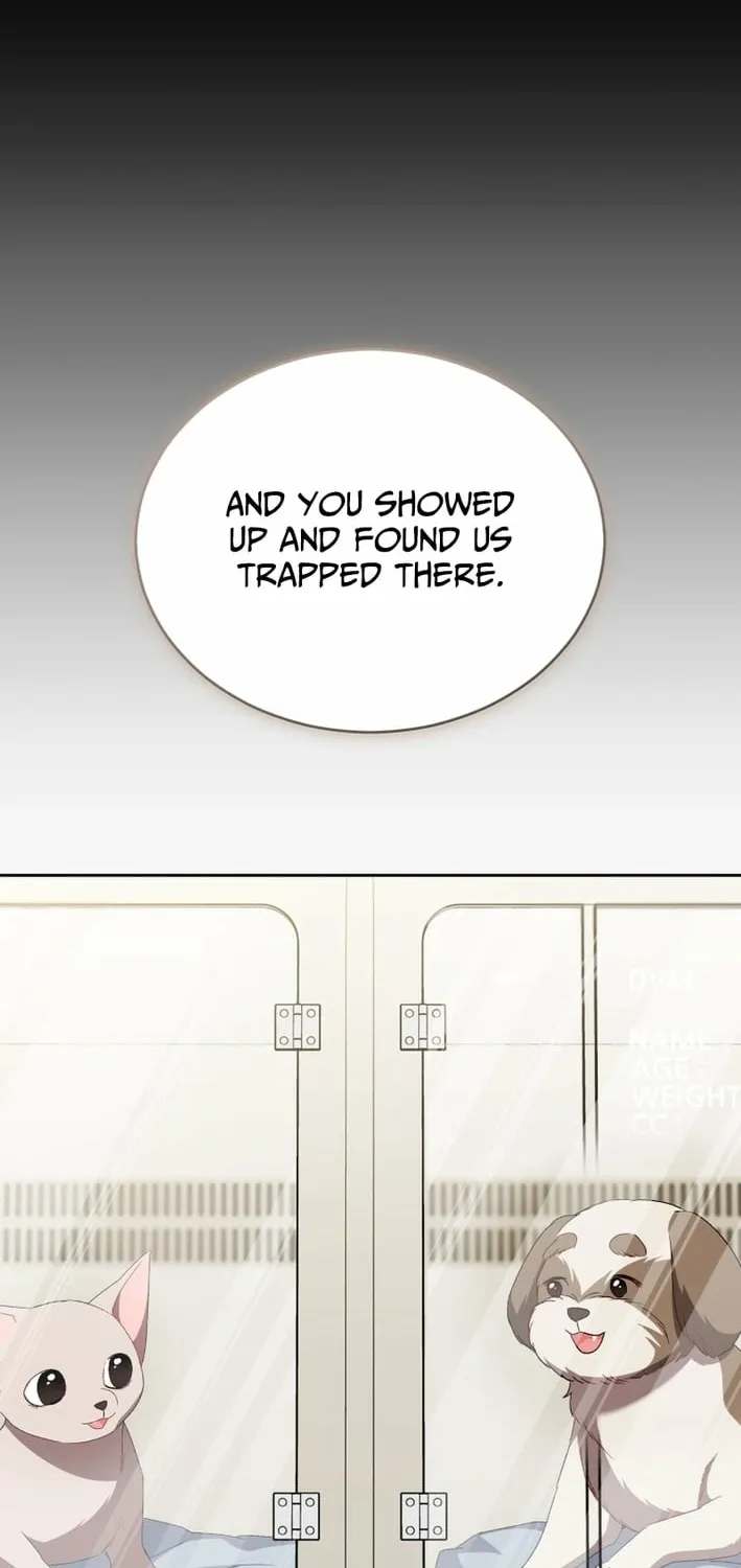 Read Hello, Mr. Veterinarian! chapter 120 image 33 on Lezhin