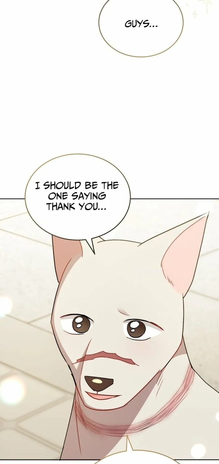 Read Hello, Mr. Veterinarian! chapter 120 image 36 on Lezhin