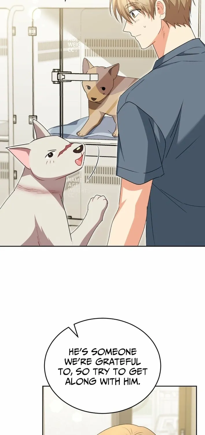Read Hello, Mr. Veterinarian! chapter 120 image 40 on Lezhin