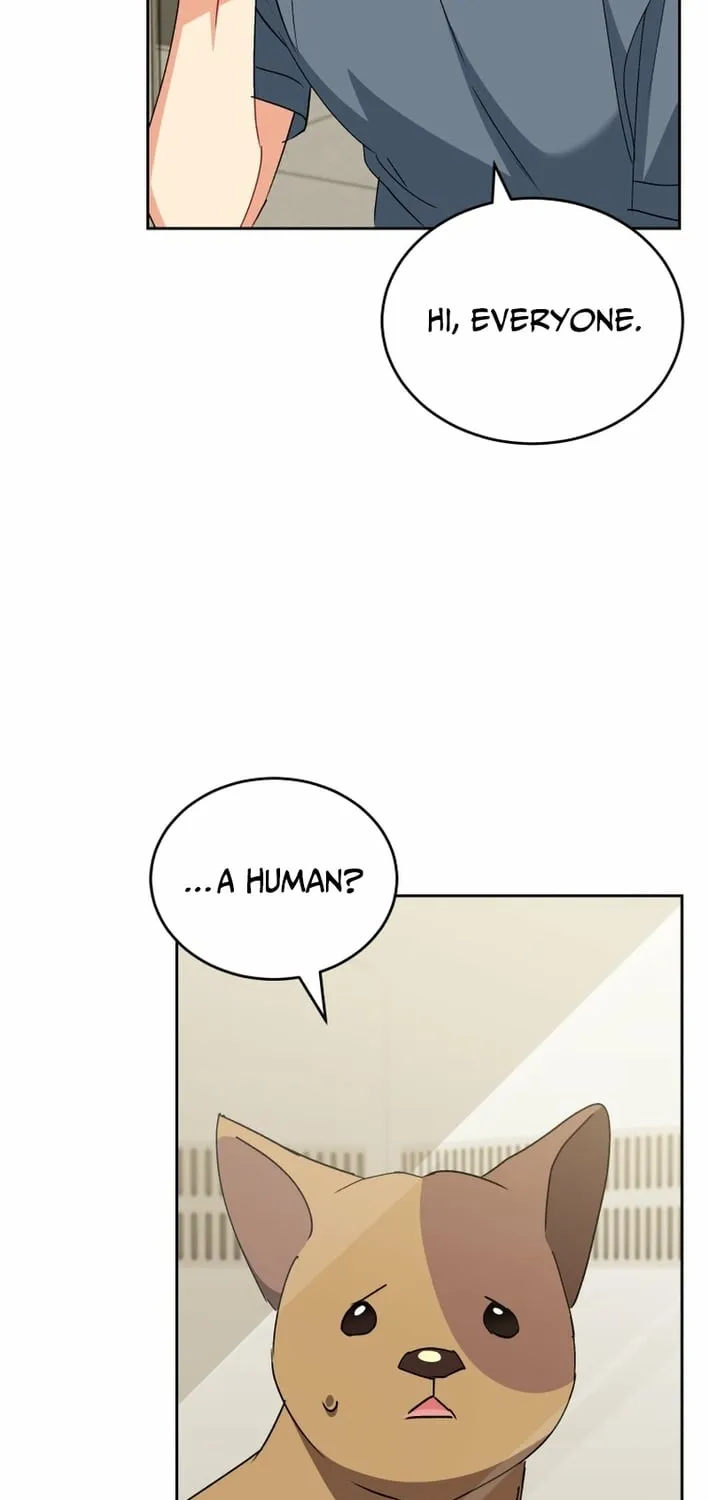 Read Hello, Mr. Veterinarian! chapter 120 image 42 on Lezhin