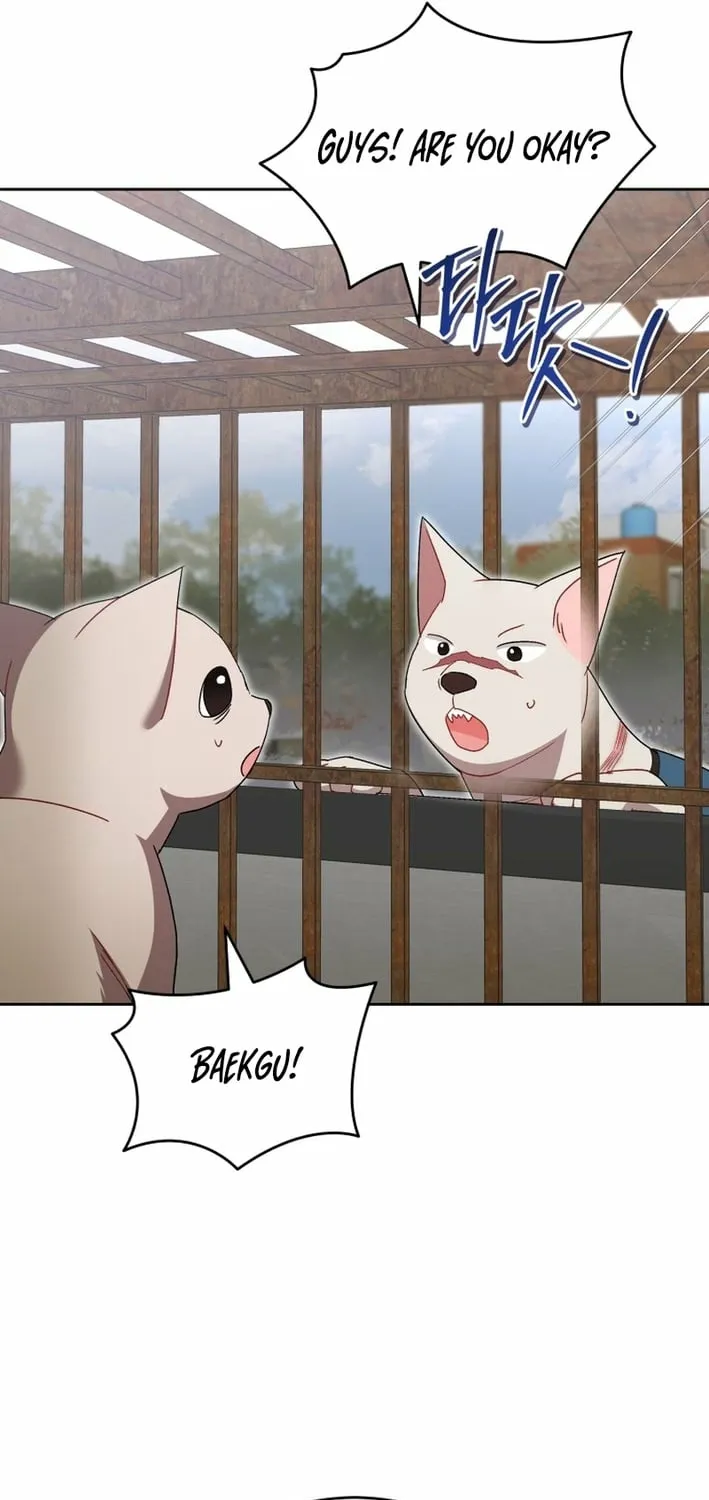 Read Hello, Mr. Veterinarian! chapter 120 image 6 on Lezhin