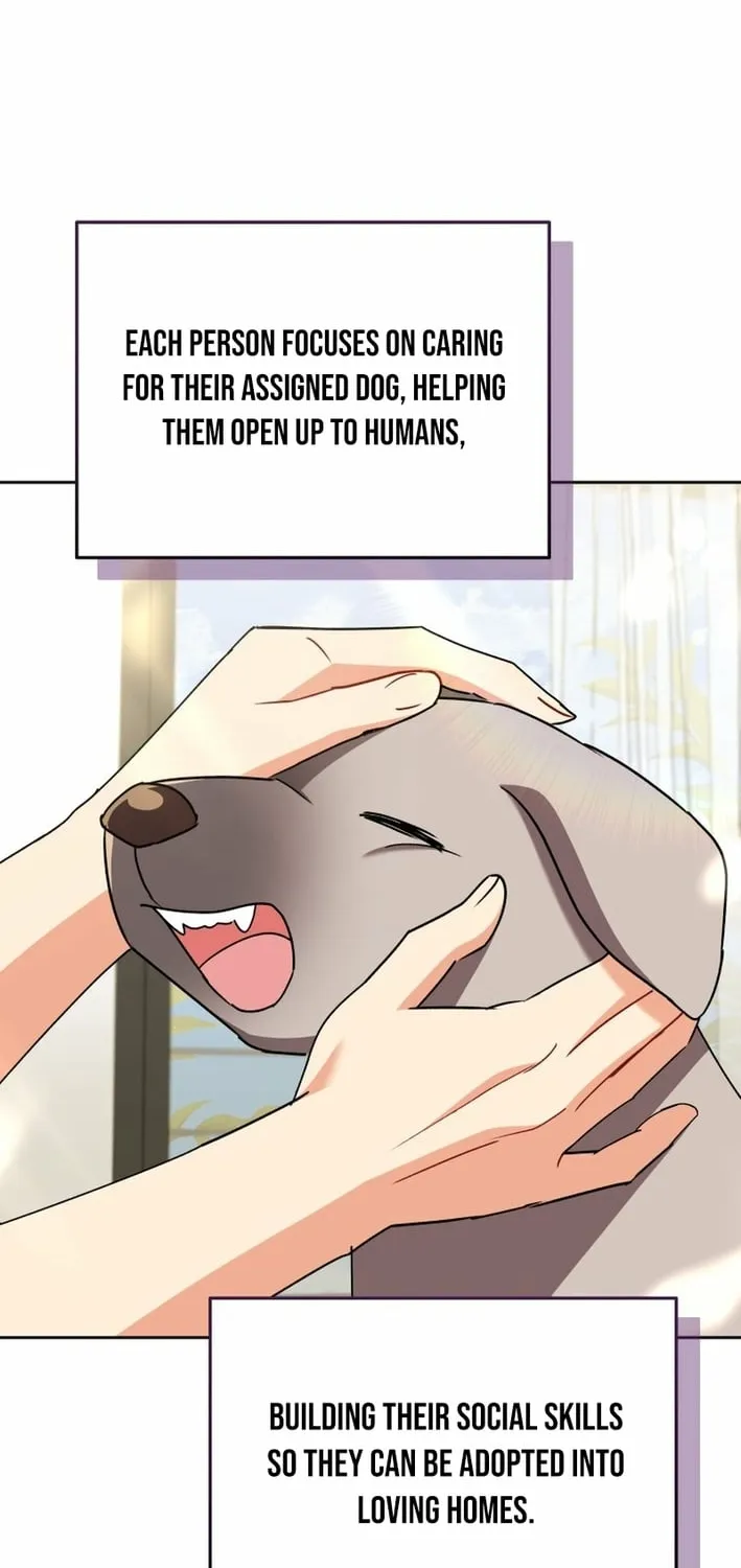 Read Hello, Mr. Veterinarian! chapter 121 image 19 on Lezhin