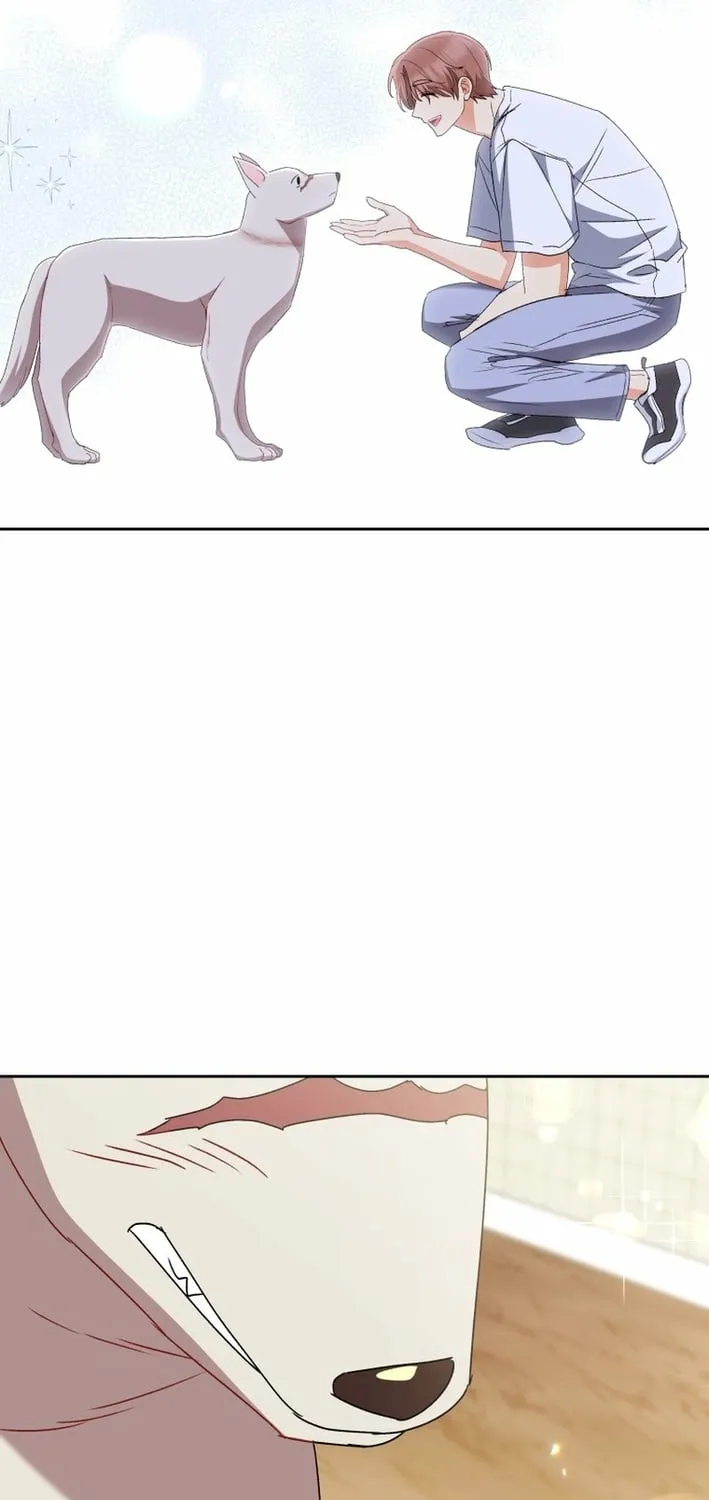 Read Hello, Mr. Veterinarian! chapter 121 image 74 on Lezhin