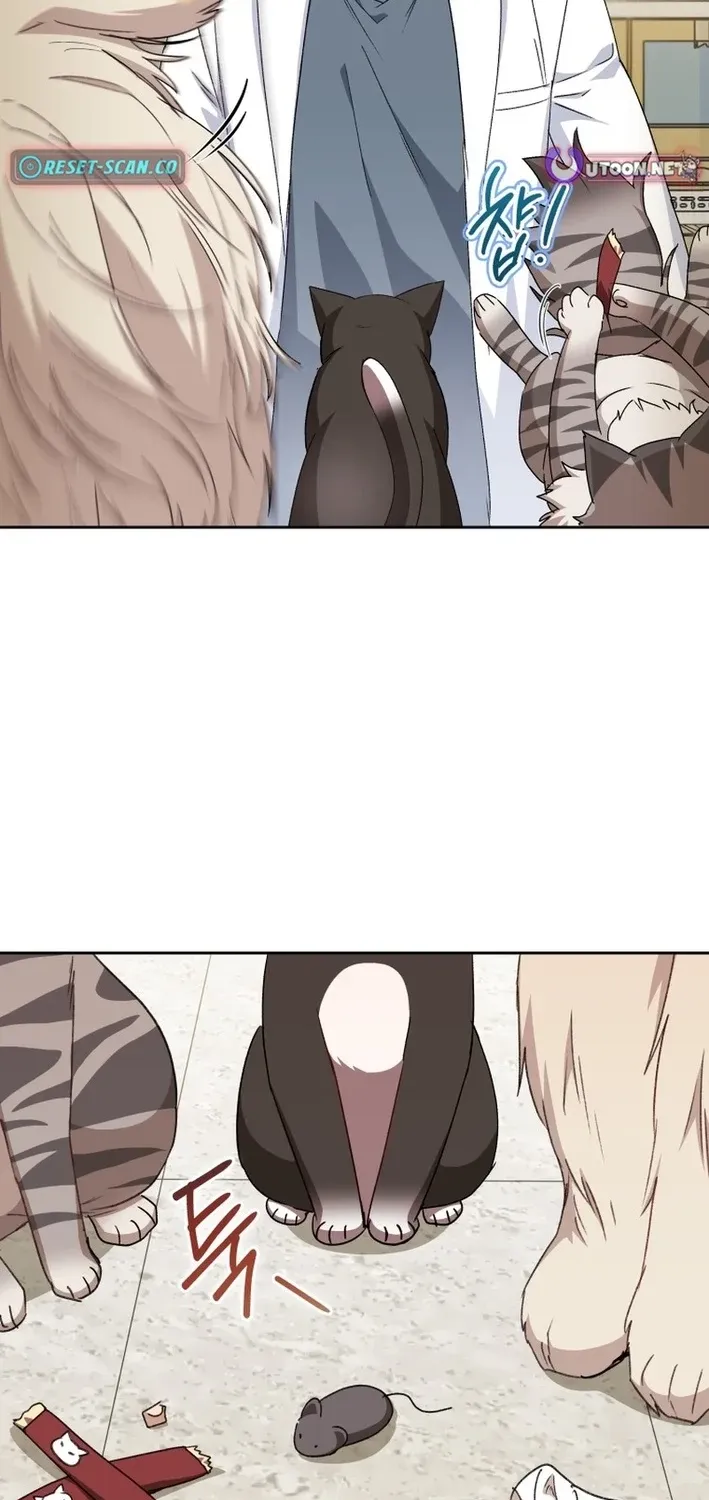 Read Hello, Mr. Veterinarian! chapter 125 image 21 on Lezhin
