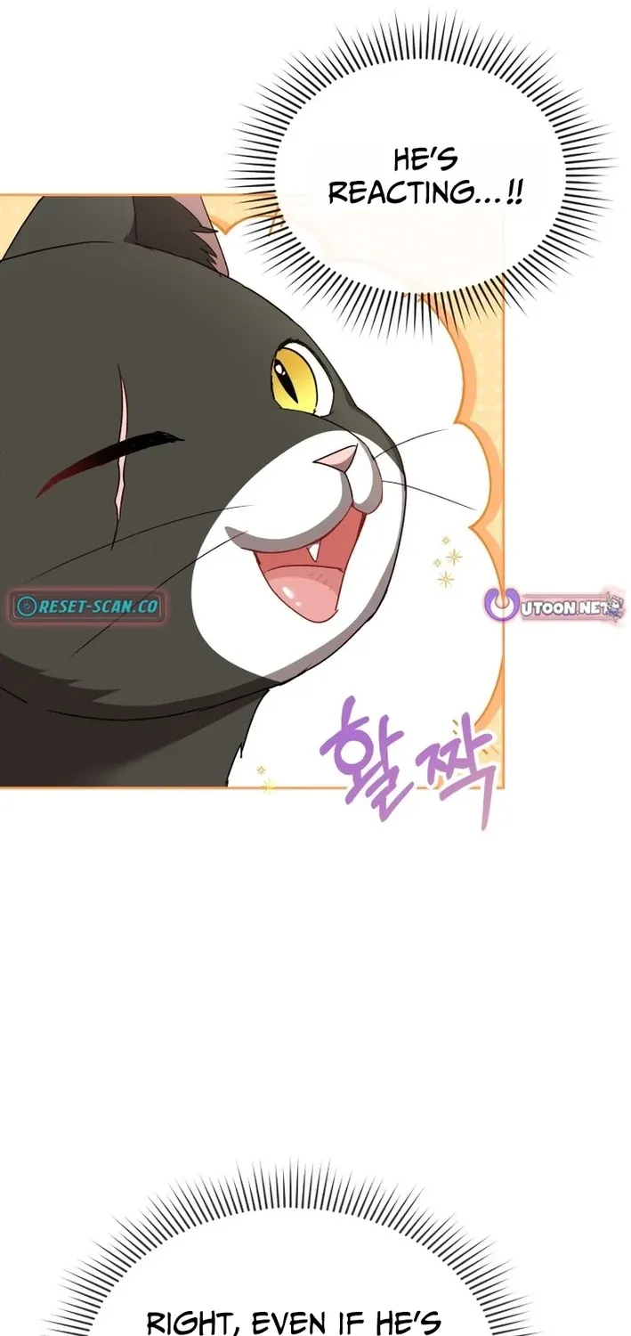 Read Hello, Mr. Veterinarian! chapter 125 image 82 on Lezhin