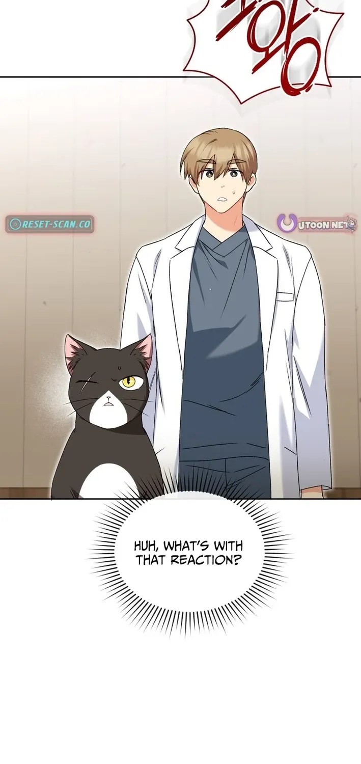 Read Hello, Mr. Veterinarian! chapter 126 image 1 on Lezhin