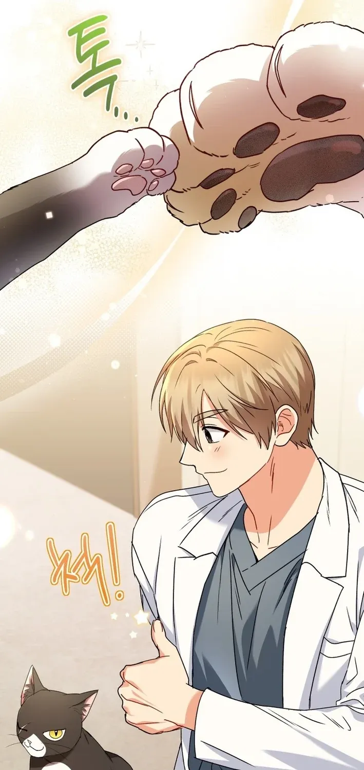 Read Hello, Mr. Veterinarian! chapter 126 image 34 on Lezhin