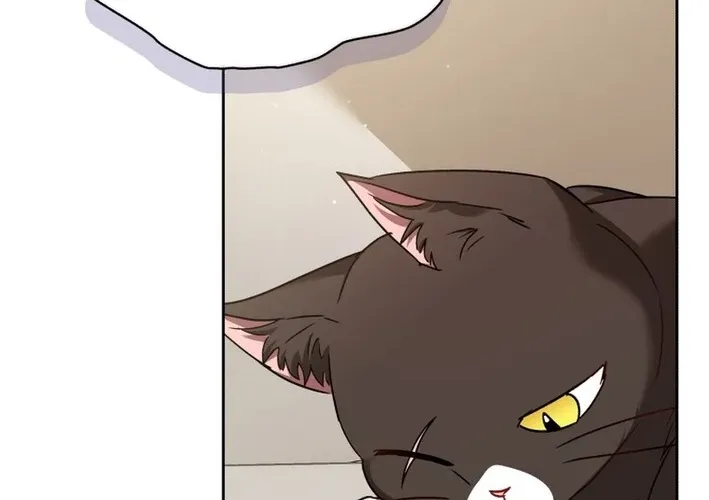 Read Hello, Mr. Veterinarian! chapter 126 image 67 on Lezhin