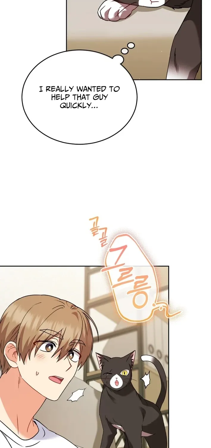 Read Hello, Mr. Veterinarian! chapter 126 image 68 on Lezhin