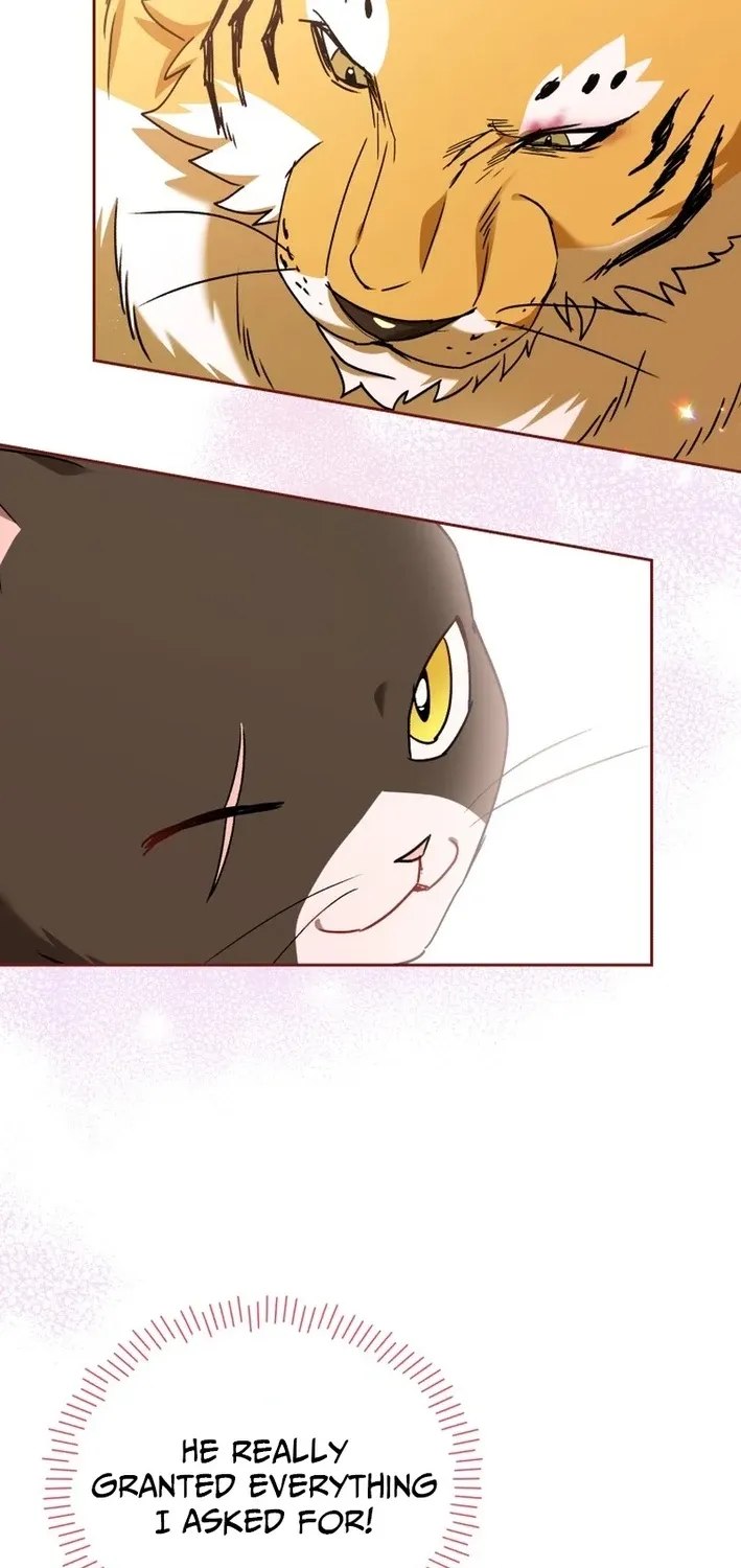 Read Hello, Mr. Veterinarian! chapter 127 image 49 on Lezhin