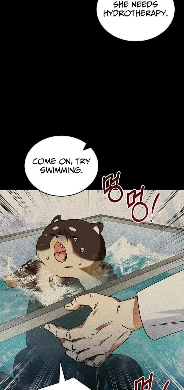 Read Hello, Mr. Veterinarian! chapter 128 image 14 on Lezhin