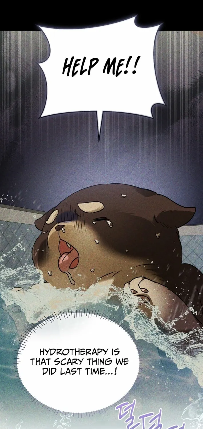 Read Hello, Mr. Veterinarian! chapter 128 image 16 on Lezhin