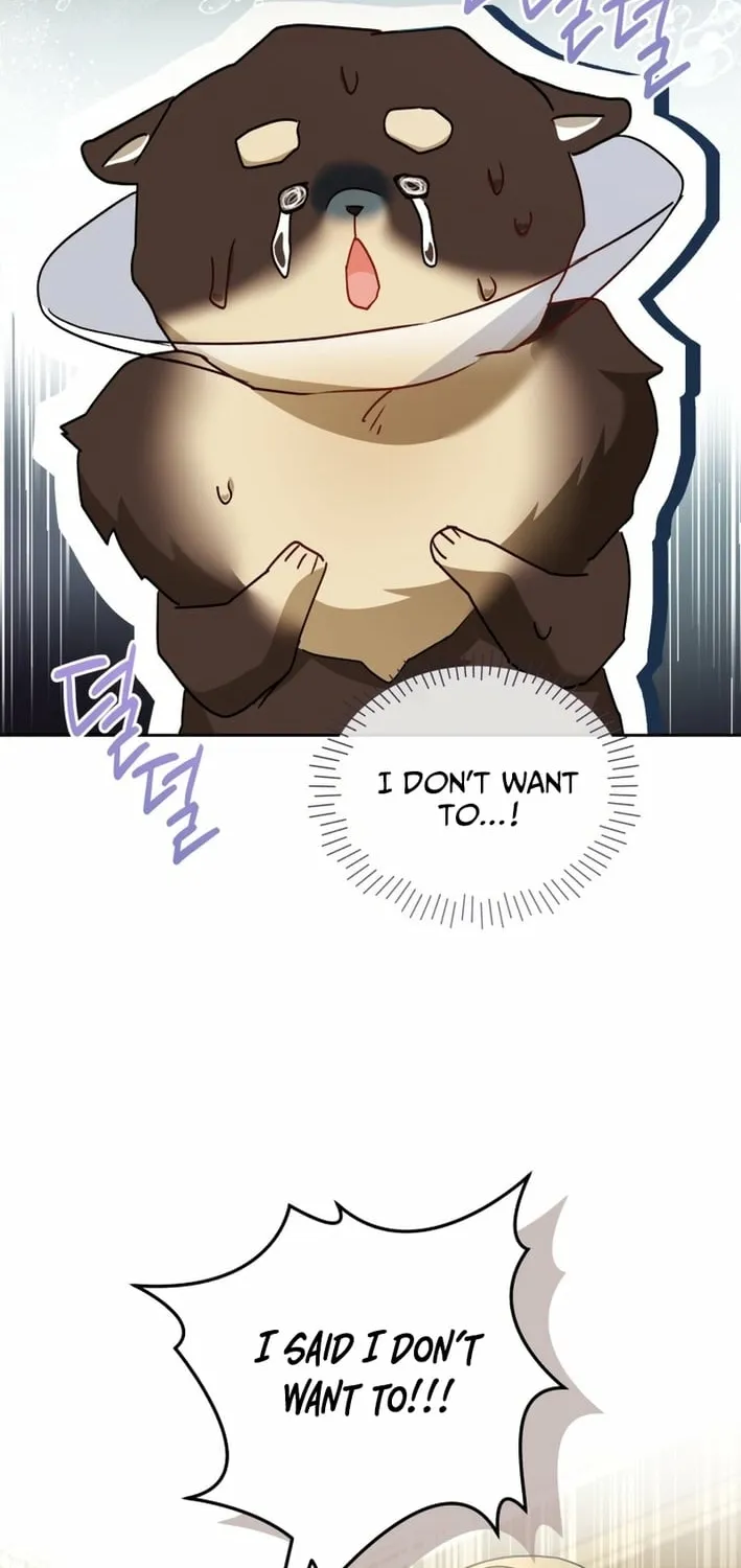 Read Hello, Mr. Veterinarian! chapter 128 image 17 on Lezhin
