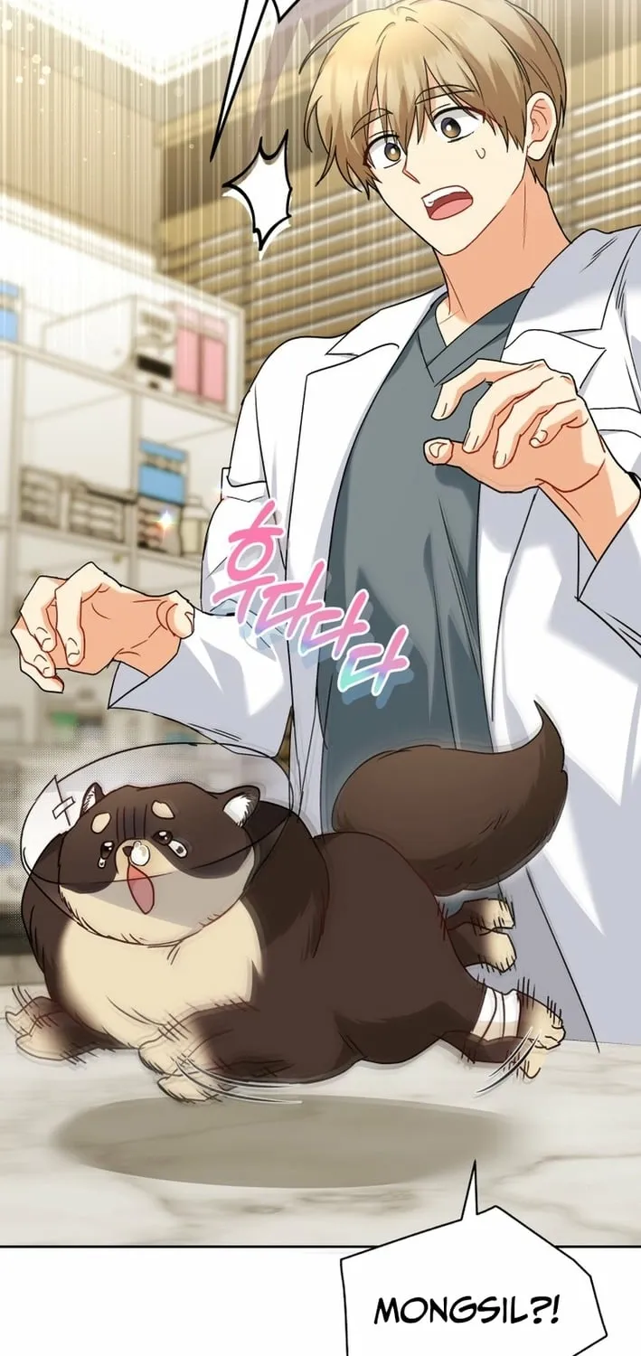 Read Hello, Mr. Veterinarian! chapter 128 image 18 on Lezhin