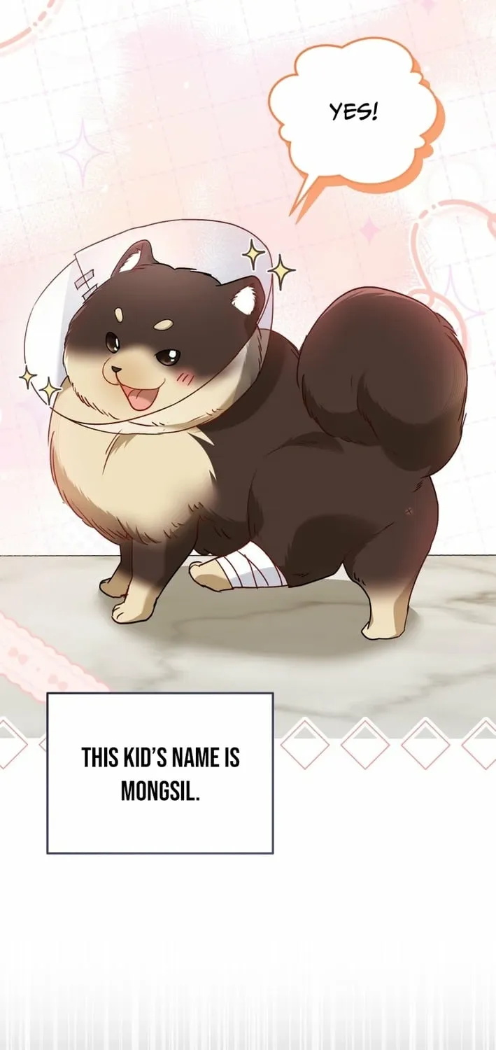 Read Hello, Mr. Veterinarian! chapter 128 image 2 on Lezhin