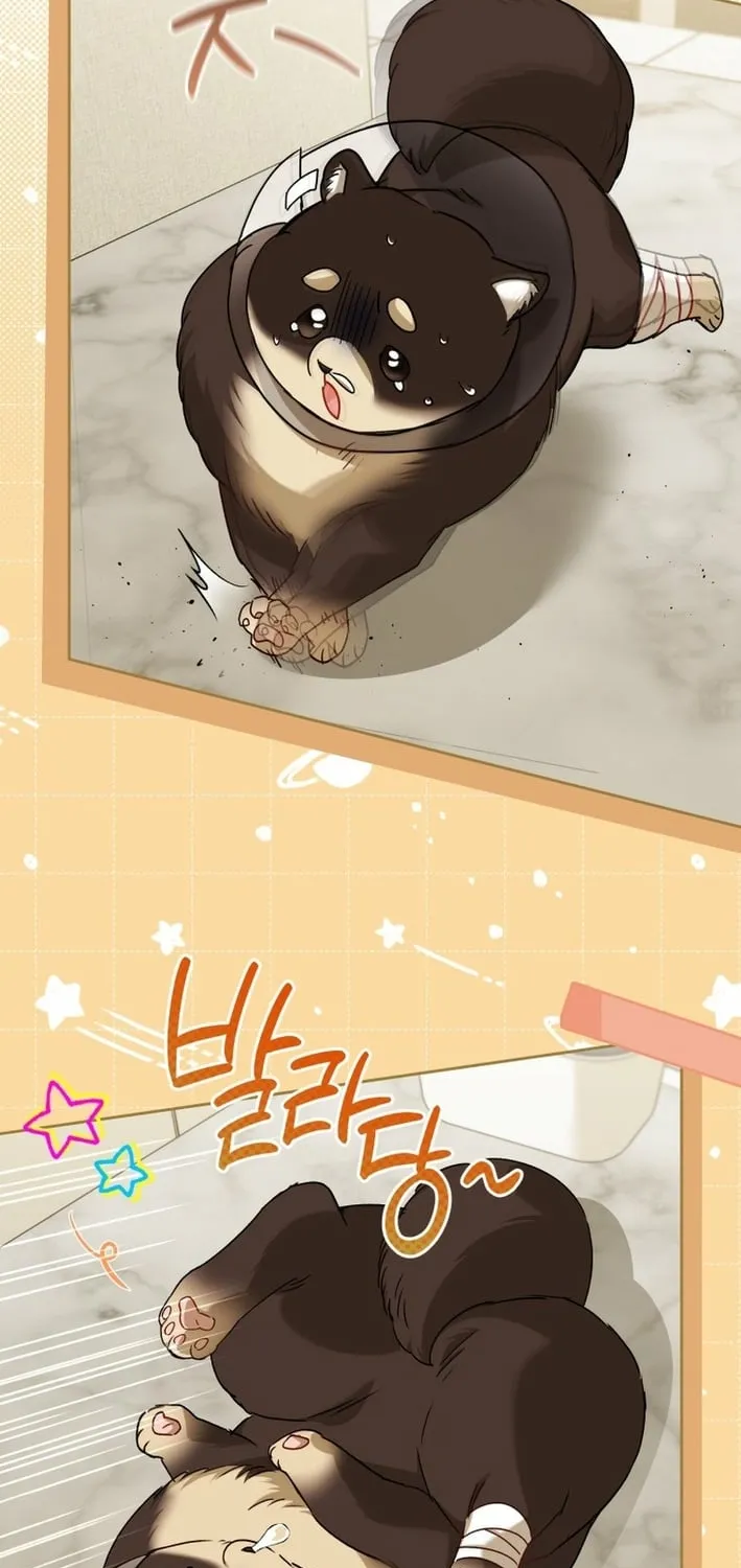 Read Hello, Mr. Veterinarian! chapter 128 image 20 on Lezhin