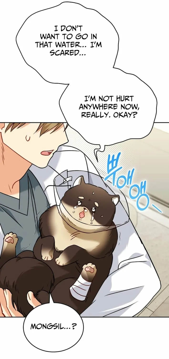 Read Hello, Mr. Veterinarian! chapter 128 image 26 on Lezhin