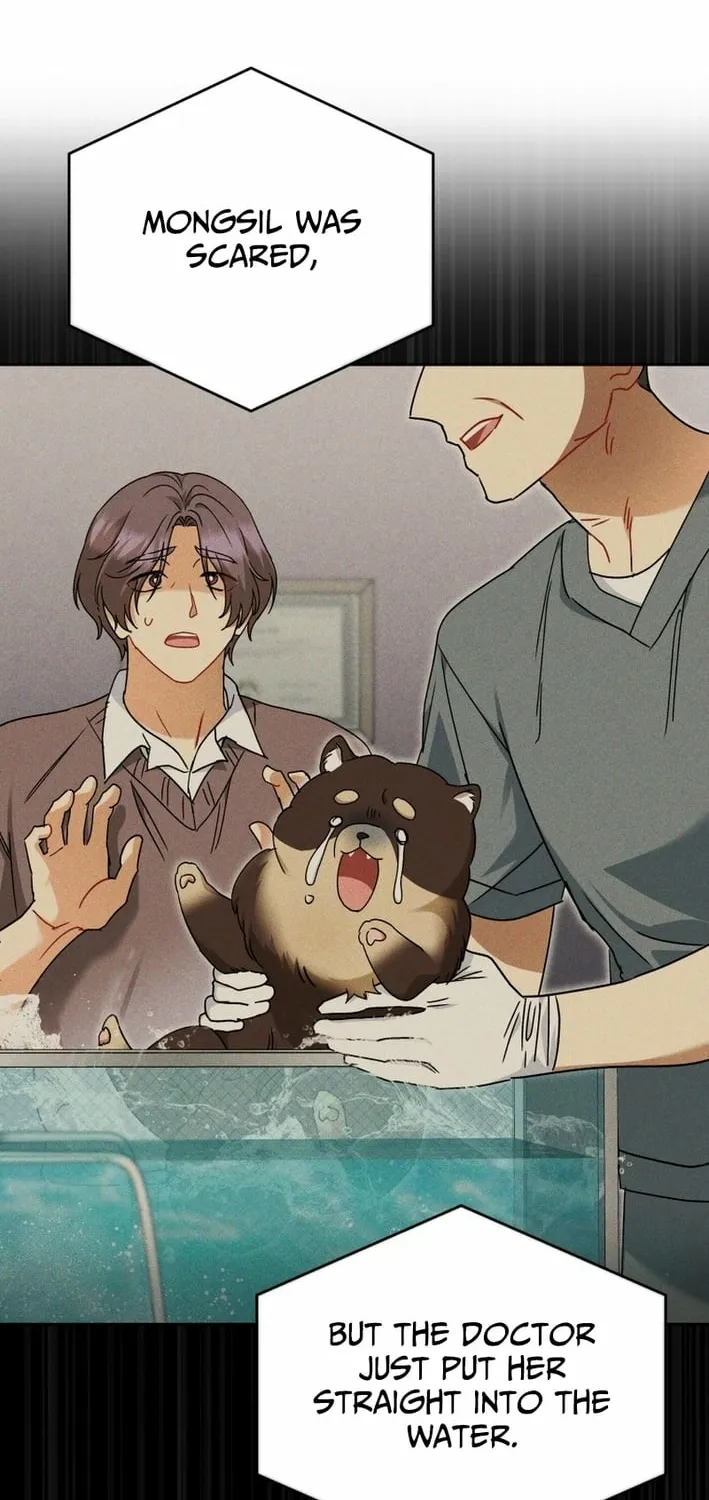 Read Hello, Mr. Veterinarian! chapter 128 image 33 on Lezhin