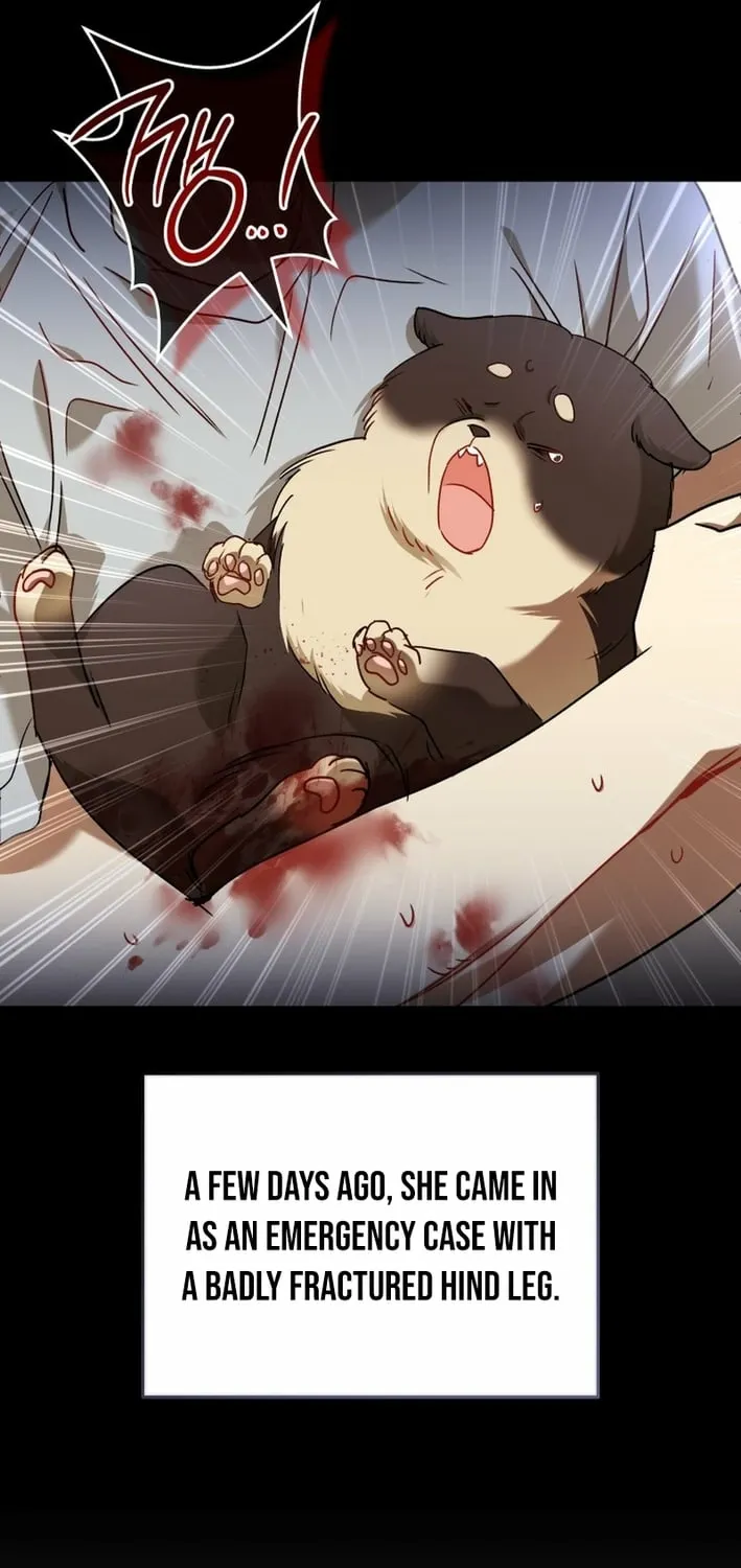 Read Hello, Mr. Veterinarian! chapter 128 image 6 on Lezhin