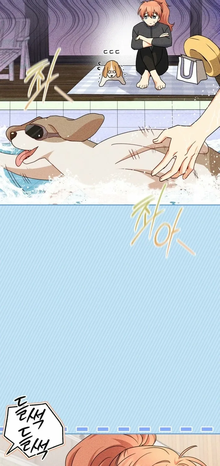 Read Hello, Mr. Veterinarian! chapter 128 image 64 on Lezhin