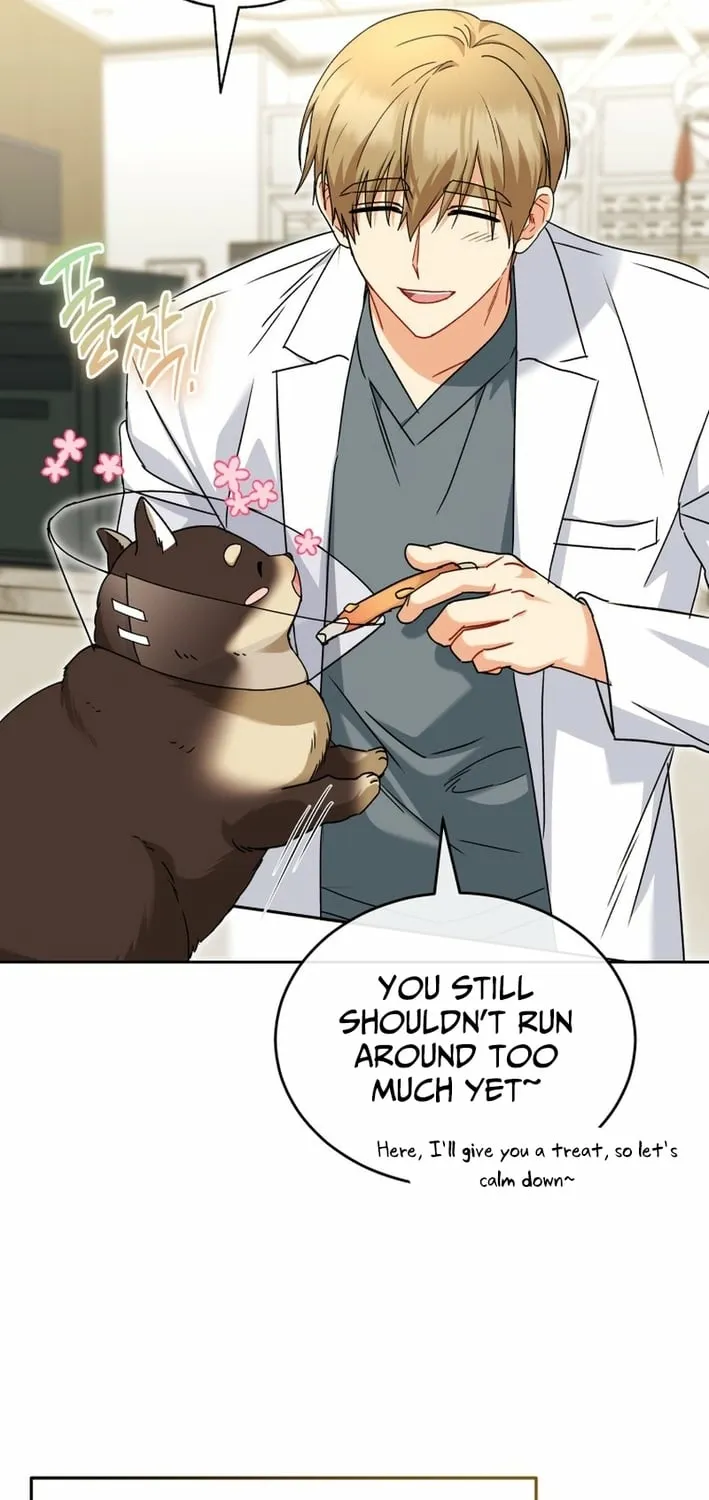 Read Hello, Mr. Veterinarian! chapter 128 image 8 on Lezhin