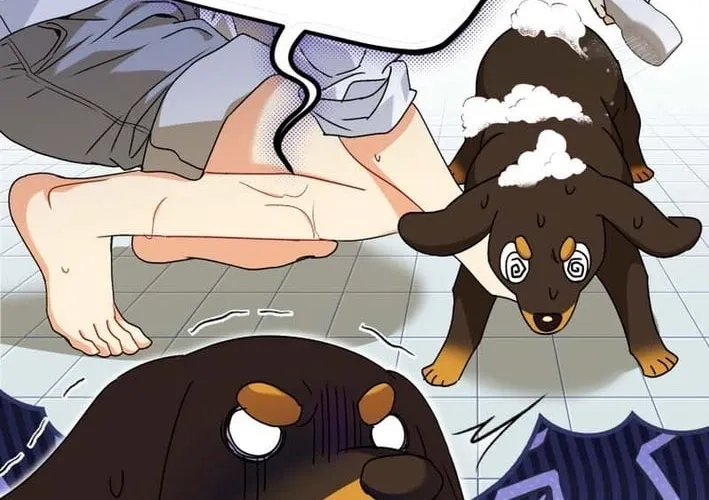 Read Hello, Mr. Veterinarian! chapter 129 image 11 on Lezhin