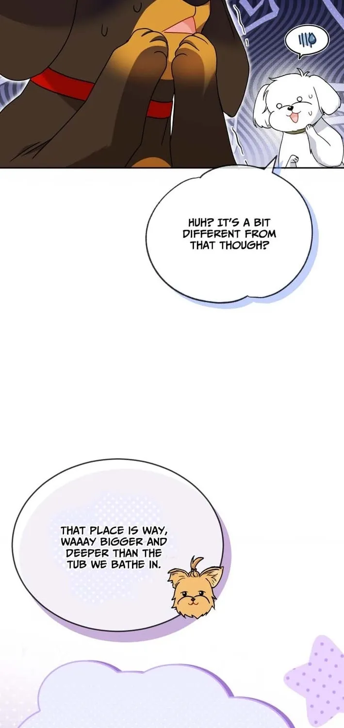 Read Hello, Mr. Veterinarian! chapter 129 image 12 on Lezhin