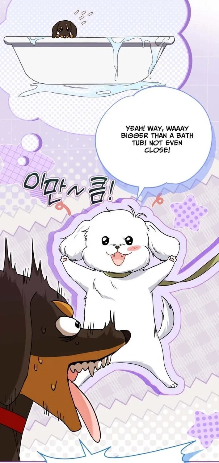Read Hello, Mr. Veterinarian! chapter 129 image 13 on Lezhin