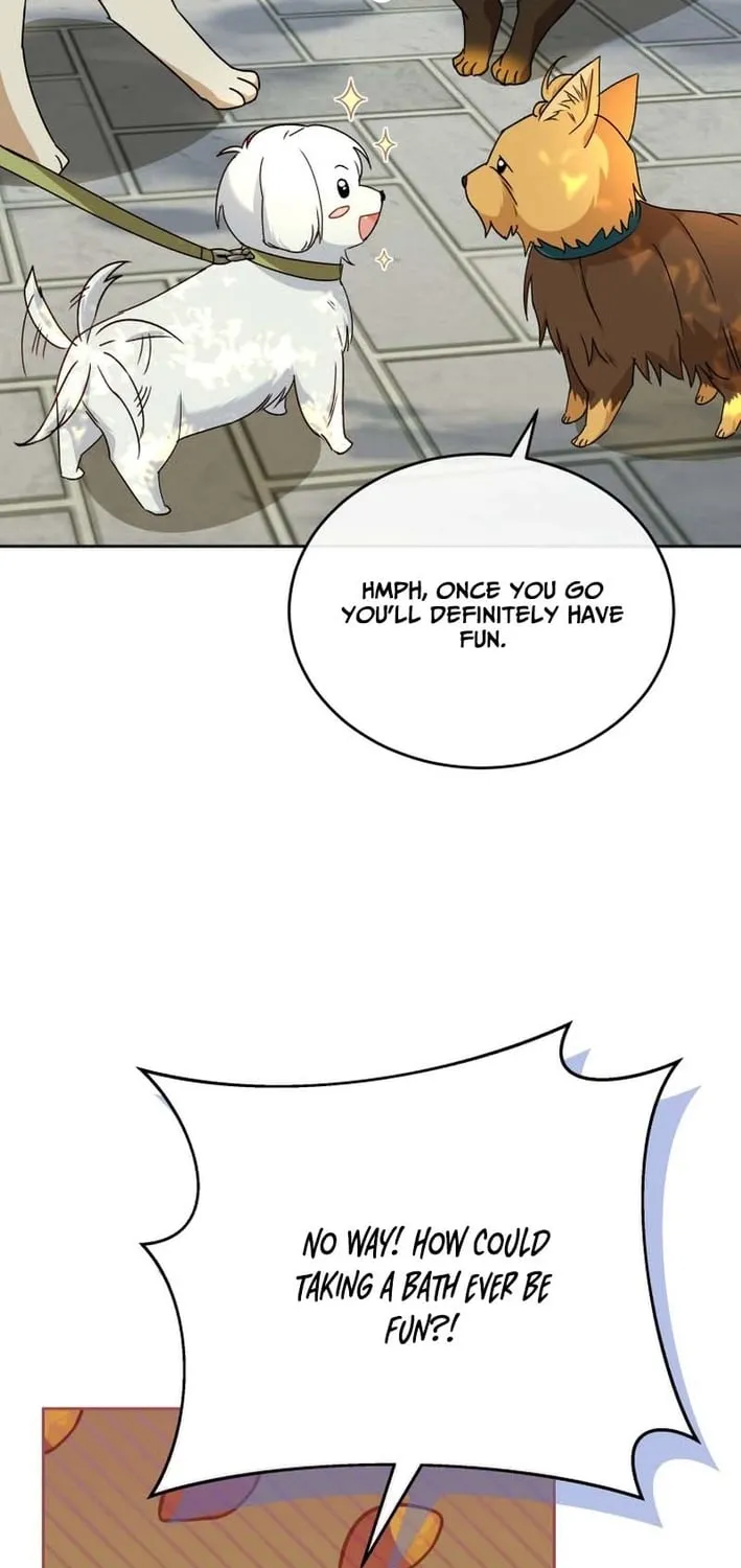 Read Hello, Mr. Veterinarian! chapter 129 image 16 on Lezhin