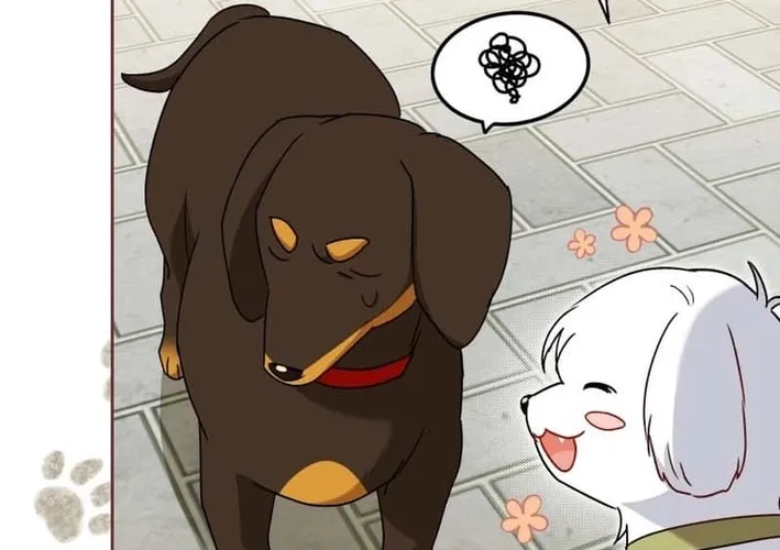 Read Hello, Mr. Veterinarian! chapter 129 image 19 on Lezhin